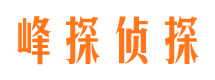 镇坪侦探